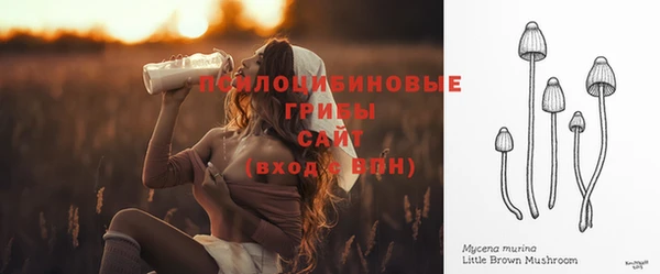 ешки Балахна
