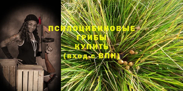ешки Балахна