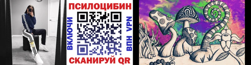 Псилоцибиновые грибы MAGIC MUSHROOMS  что такое наркотик  Сольцы 