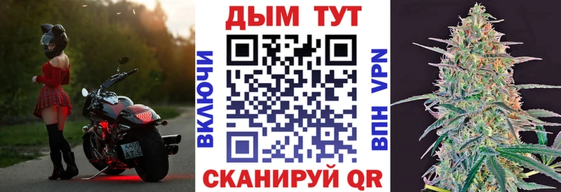 Каннабис семена  Сольцы 